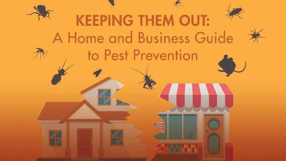 types-of-pests-in-london-and-prevention